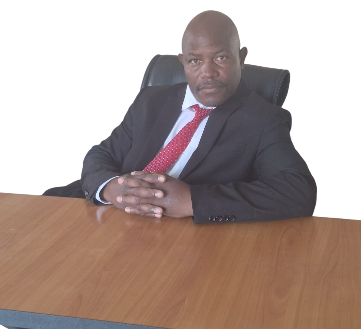 Professional legal team